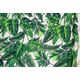 Royokamp  Hamak fotel brazylijski 100 x 50 cm Natura Jungle Light Royokamp