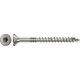 Fischer Medsraigtis 6,0 x 100 A2 Torx, 100vnt.
