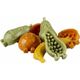 Duvo+ Garden Bites Fruity Friends S, 18szt.270g