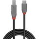 Kabel USB Lindy USB-C - USB-B 1 m Czarny (36666)
