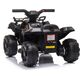 Ramiz Pojazd Quad dla dziecka Storm Czarny