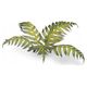 Gamers Grass Gamers Grass: Laser Plants - Bracken - Paproć