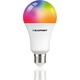 Blaupunkt Blaupunkt Żarówka LED E27 9W Smart WIFI 3000K-6500K Multicolor