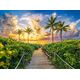 Castorland Puzzle 3000 Colorful Sunrise in Miami, USA