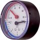 Afriso Termomanometr TM80 0-10bar 1/2 AX 20-120^C (S)A