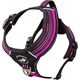 All For Dogs ALL FOR DOGS SZELKI 3x-SPORT RÓŻ XS