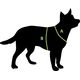 All For Dogs ALL FOR DOGS SZELKI 3x-SPORT RÓŻ L