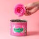 Kusmi Tea - Green rose Bio - Herbata sypana 100 g