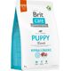 Brit Brit Care Dog Hypoallergenic Puppy Lamb 3kg