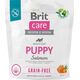 Brit Sucha karma dla psa Dog Grain-free Puppy Salmon 1 kg