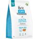 Brit Sucha karma dla psa Dog Grain-free Junior Large Breed Salmon 3 kg