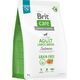 Brit BRIT CARE Dog Grain-free Adult Large Breed Salmon 3kg