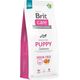 Brit Care Dog Grain-free Puppy Salmon - 12KG