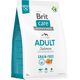 Brit Sucha karma dla psa Dog Grain-Free Adult Salmon 3 kg