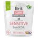 Brit Brit Care Dog Sustainable Sensitive Insect Fish 1kg