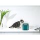 Petkit PETKIT Smart Pet Drinking Fountain Eversweet Solo Capacity 1.8 L, Material ABS, Filtering, Green