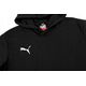 Puma Bluza dla dzieci Puma teamGOAL 23 Casuals Hoody Jr czarna 656711 03 140