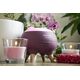 Dyfuzor zapachowy Concept Dyfuzor zapachu Concept Perfect Air Berry DF1011