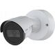 Kamera IP Axis AXIS NET CAMERA M2036-LE IR BULLET/WHITE 02125-001