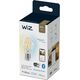 WiZ WiZ,Bulb,7W,2700-6500,A60,E27,1 pcs lightsource