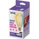 WiZ WiZ,ST64 Edison,7W,2000-5000,ST64,E27,1 pcs lightsource