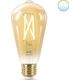 WiZ WiZ,ST64 Edison,7W,2000-5000,ST64,E27,1 pcs lightsource