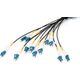 Digitus Cable Digitus LWL LC/UPC-LC/UPC OM4 100m black