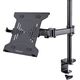 Adapter USB StarTech ZUB StarTech Monitor und Laptop Halterung