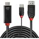 Kabel Lindy LINDY HDMI an DisplayPort Adapterkabel 2m