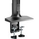 V7 Uchwyt biurkowy na monitor 17" - 32" (DM1HDD)