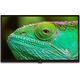 Telewizor Lenco LED-3263BK LED 32'' HD Ready Android