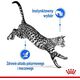 Royal Canin Indoor Sterilised 85g