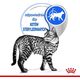 Royal Canin Indoor Sterilised 85g