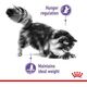 Royal Canin Appetite Control Care 85g