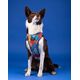 Chaba CHABA SZELKI GUARD COMFORT  STORY ``M``   AUSSIE 1,6/34-48cm