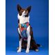 Chaba CHABA SZELKI GUARD COMFORT  STORY ``S``   AUSSIE 1,6/29-39cm