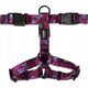 Chaba CHABA SZELKI GUARD STORY ``L`` LAKOTA     2,5/50-57cm