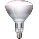 Philips Philips infrared lamp BR125 IR 150W E27 230-250V CL