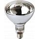 Philips Philips infrared lamp BR125 IR 150W E27 230-250V CL