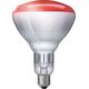 Philips Philips infrared lamp BR125 IR 150W E27 230-250V Red