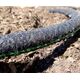 Geko Wąż nawadniający kroplujący 1/2" 30m (6)