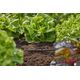 Gardena Gardena 13216-20, Spray nozzle, Drip irrigation system, Plastic, Black, 4.6 mm, 1 pc(s)