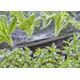Gardena Gardena 13321-20, Spray nozzle, Drip irrigation system, Plastic, Black, Green, 2.75 m, Germany