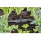 Gardena Gardena 13206-20, Joint connector, Drip irrigation system, Plastic, Black, 13 mm, 1 pc(s)