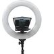 Ikan Ikan HomeStream Teleprompter Kit