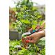 Gardena Gardena Harvesting Knife VeggieCut (grey/turquoise, incl. belt holster with integrated sharpening stone)