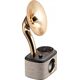 Radio Sangean Sangean CP-100D DAB+/FM/BT black/gold