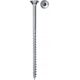 Fischer Fischer PowerFast II 6,0x100 SK TX TG blvz 100