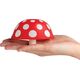 Ototo OTOTO Magic Mushroom XL Funnel