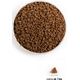 Acana ACANA First Feast Cat sausas maistas katėms (Kitten) 1,8kg